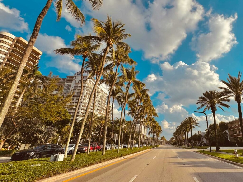 Collins Avenue in Bal Harbour, lined with royal palms and oceanfront towers