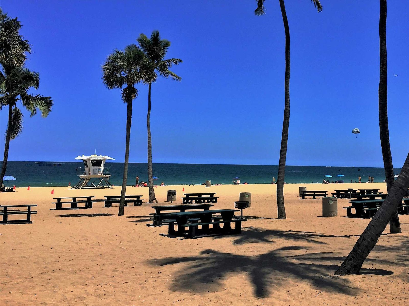 Picnic tables and palms on the sand, a lifeguard tower beyond, Fort Lauderdale beach