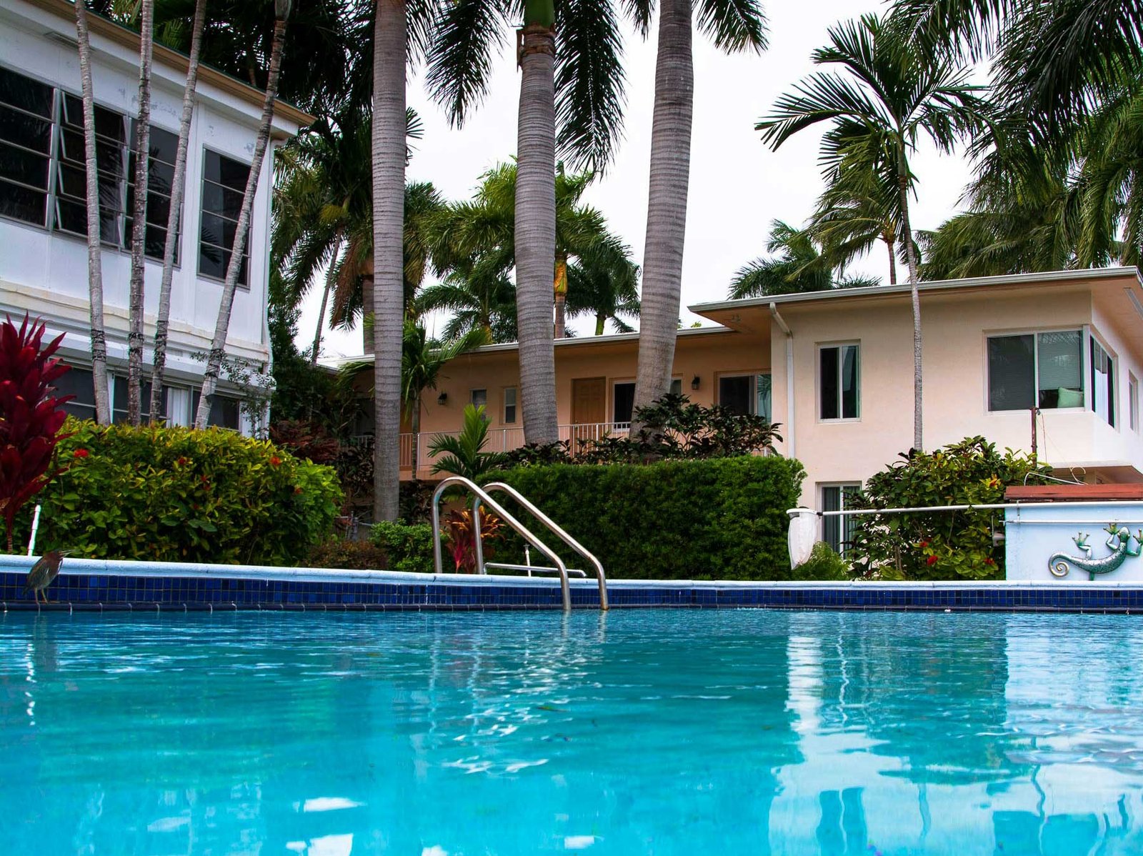 A swimming pool and palms in front of a white residential building, Fort Lauderdale