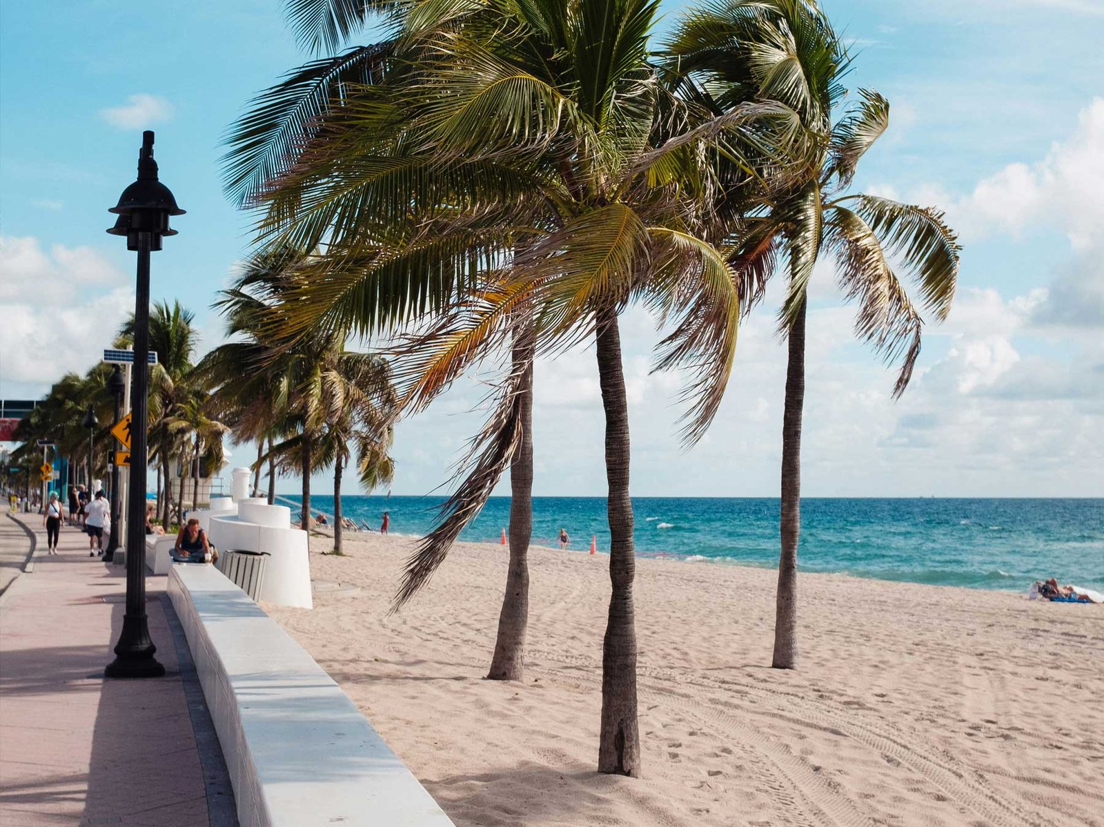 Palms along the sand at Fort Lauderdale beach — the area where Edition Residences Fort Lauderdale is located