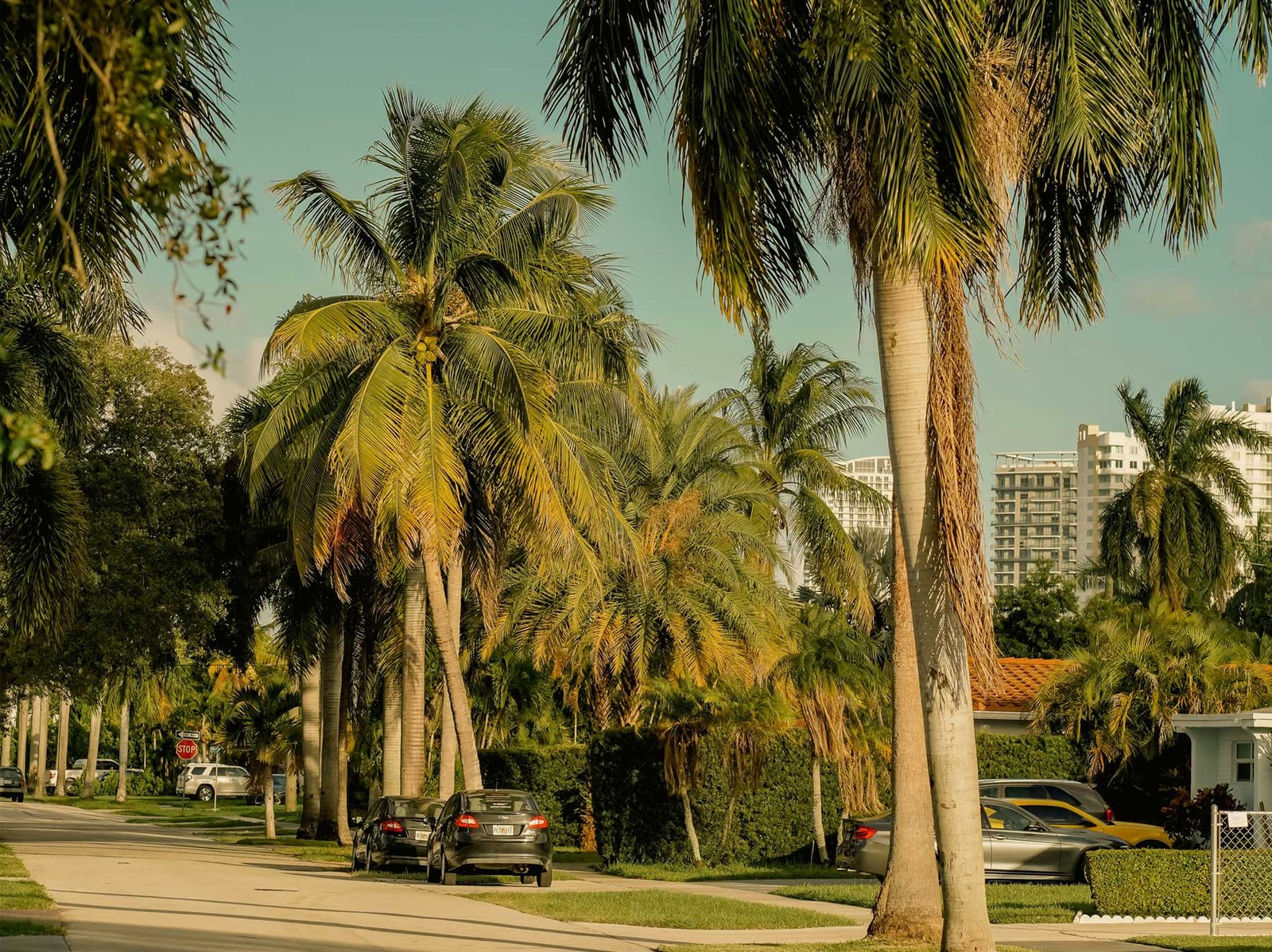 - Ocean Marine Yacht Club Hallandale Beach at golden hour — Ocean Marine Yacht Club