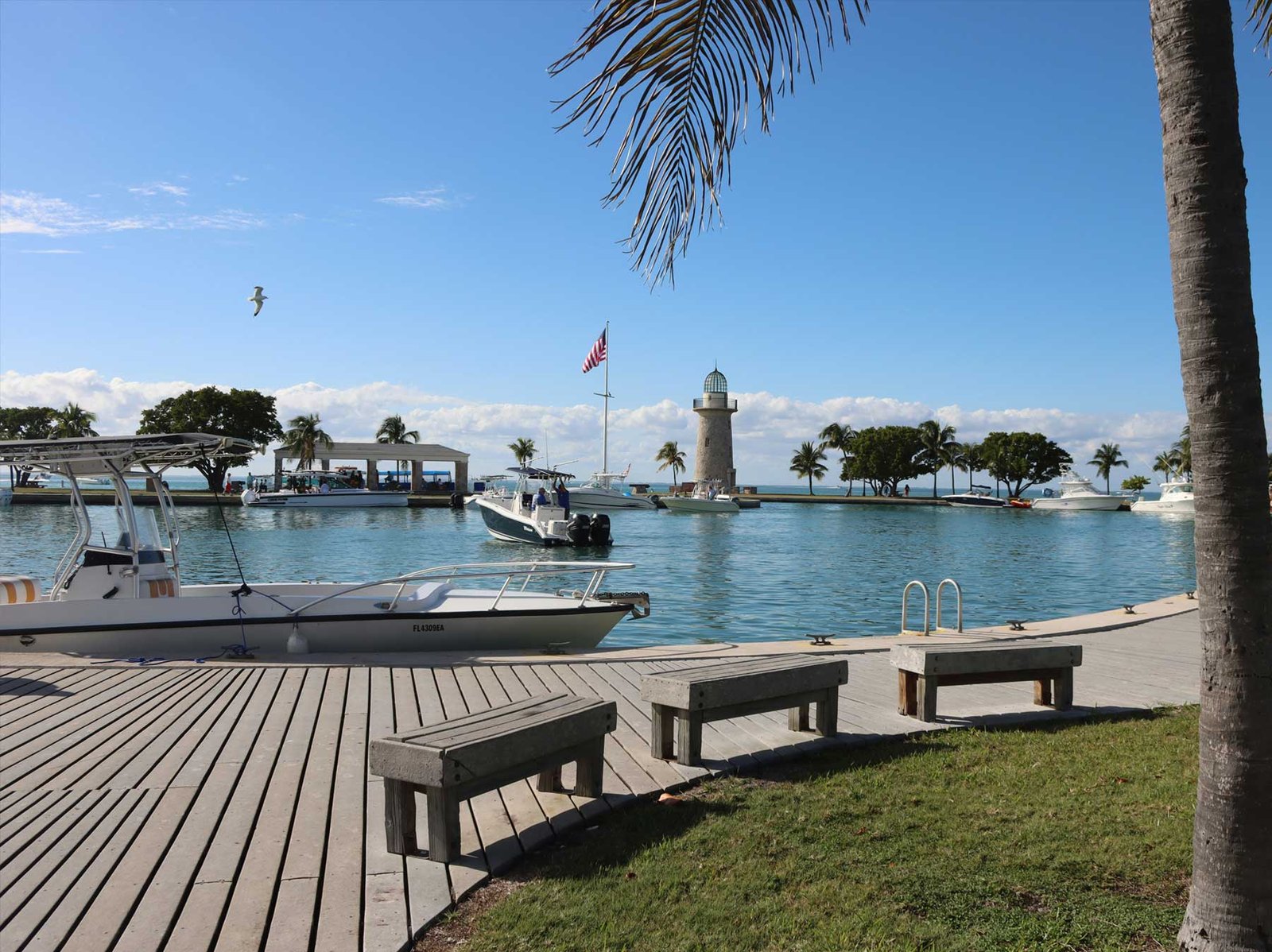 - Key Biscayne Palm fronds against a clear blue sky on Key Biscayne