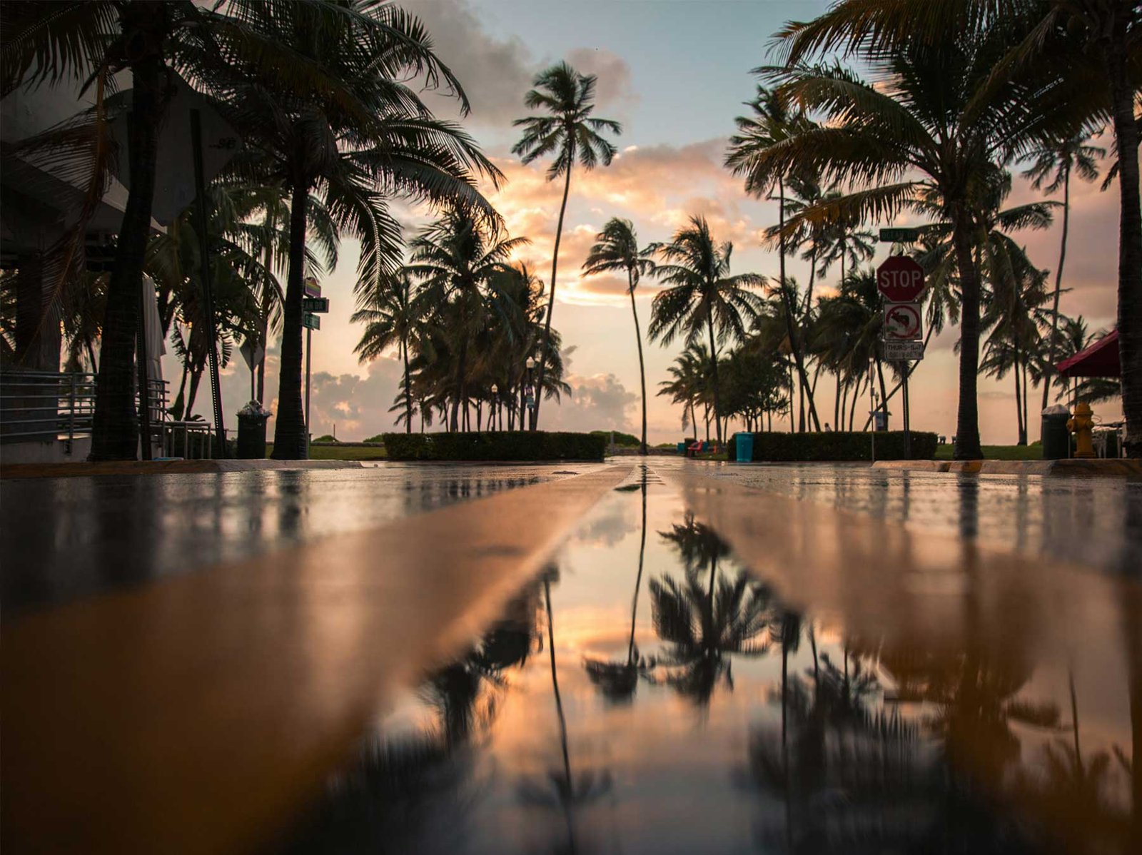 - Sell Your Miami Property Palm trees silhouetted at sunset above still water
