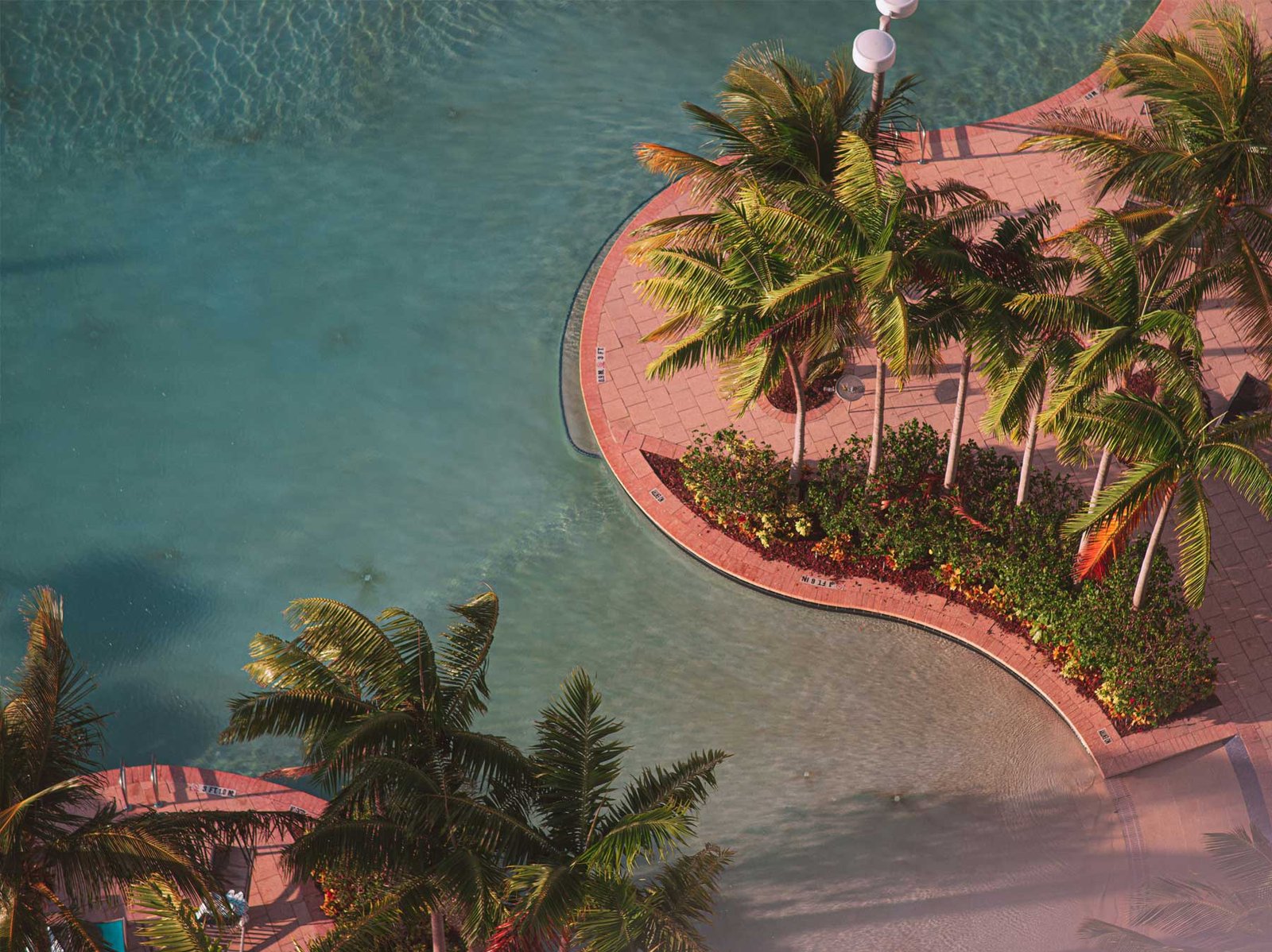 A curved Miami Beach shoreline with palms and turquoise water — the area where 72 Park Miami Beach is located