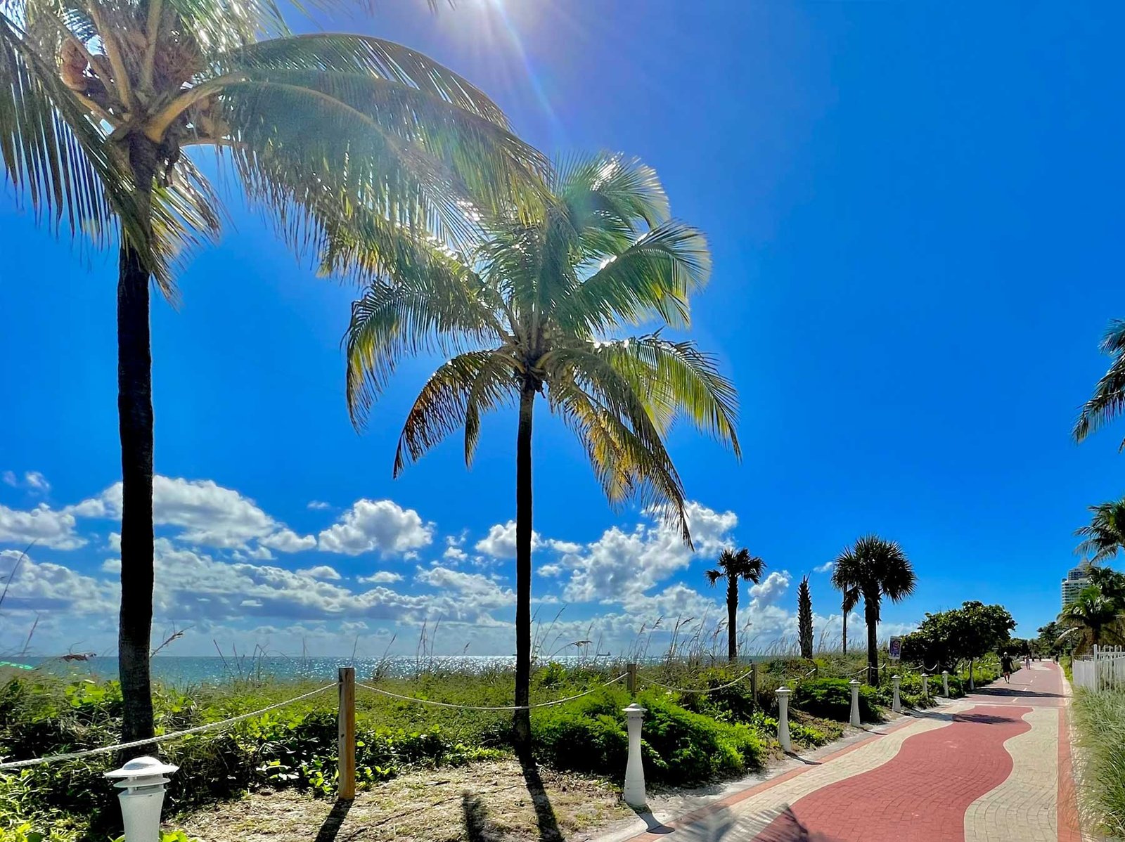 Palm trees against a blue sky above a Miami Beach shoreline — the area where 72 Park Miami Beach is located