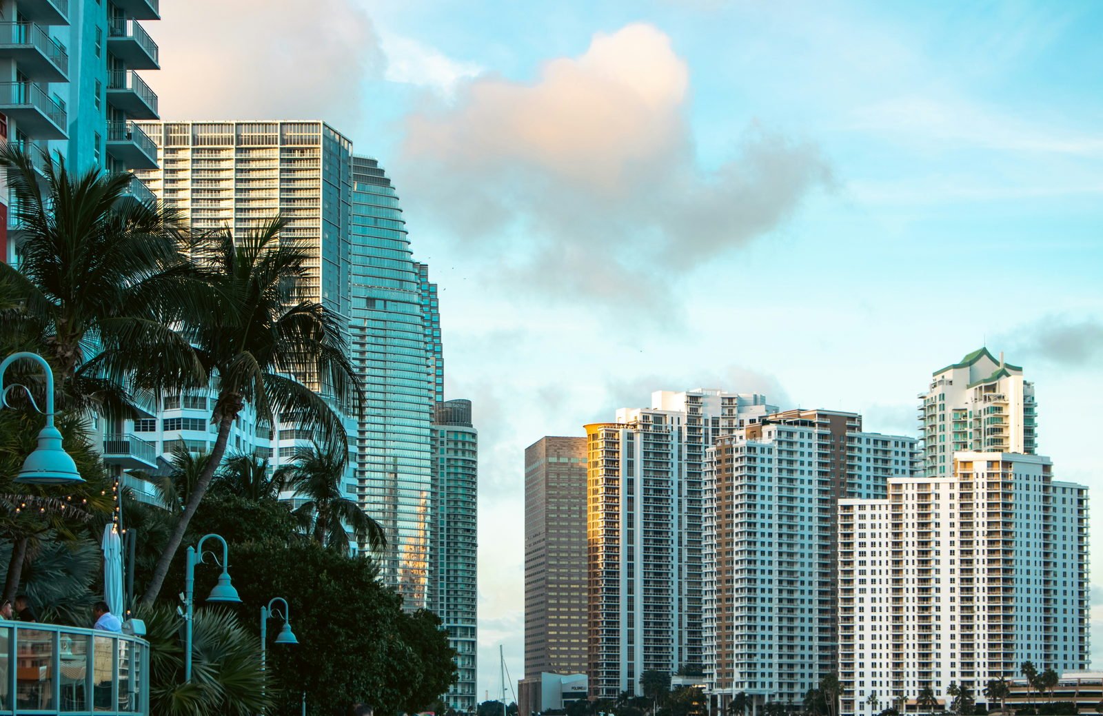 Palms and a street lamp on Brickell Key, the glass towers rising behind