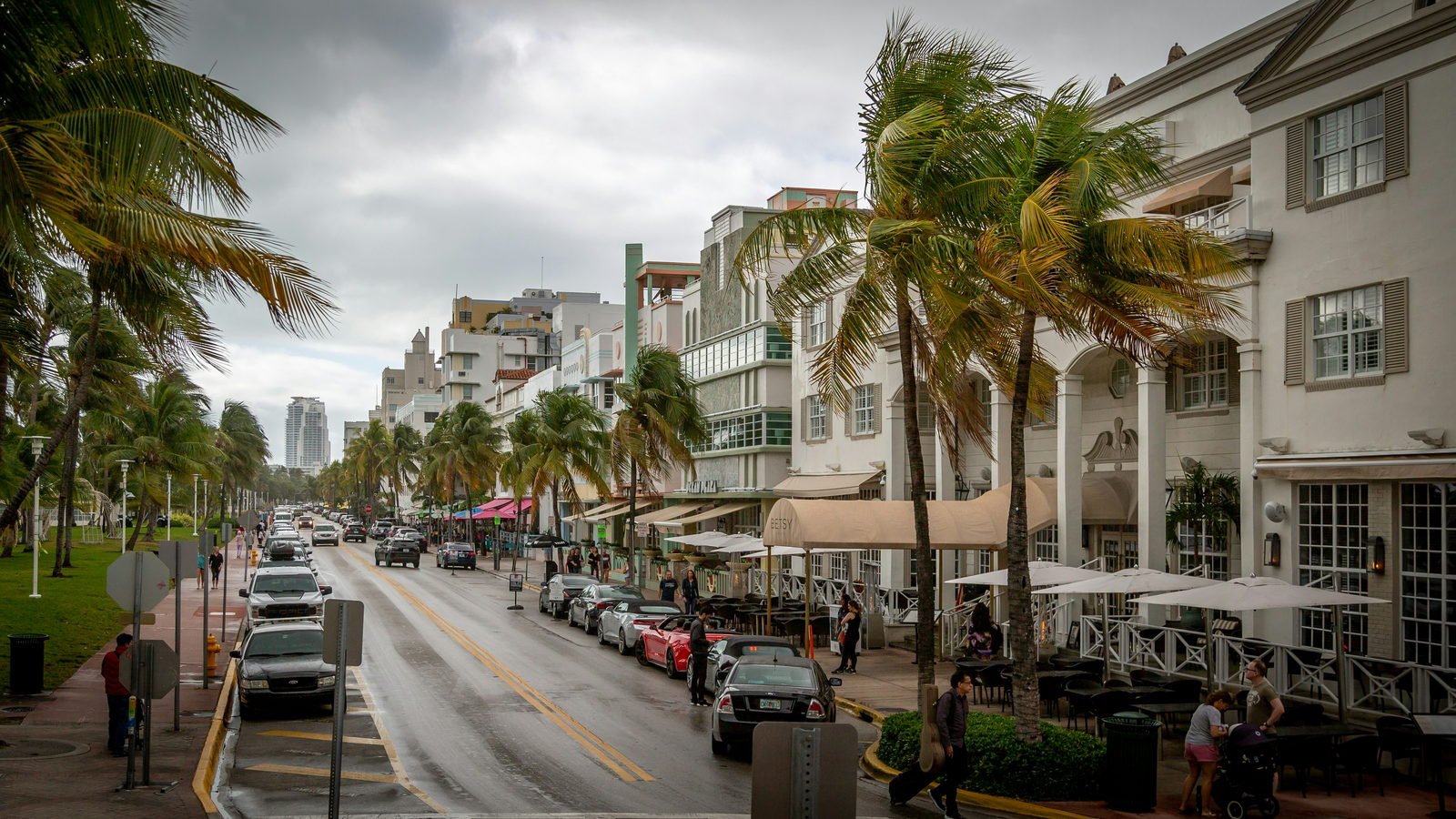 The Ocean Drive hotel line looking north through the palms, South Beach