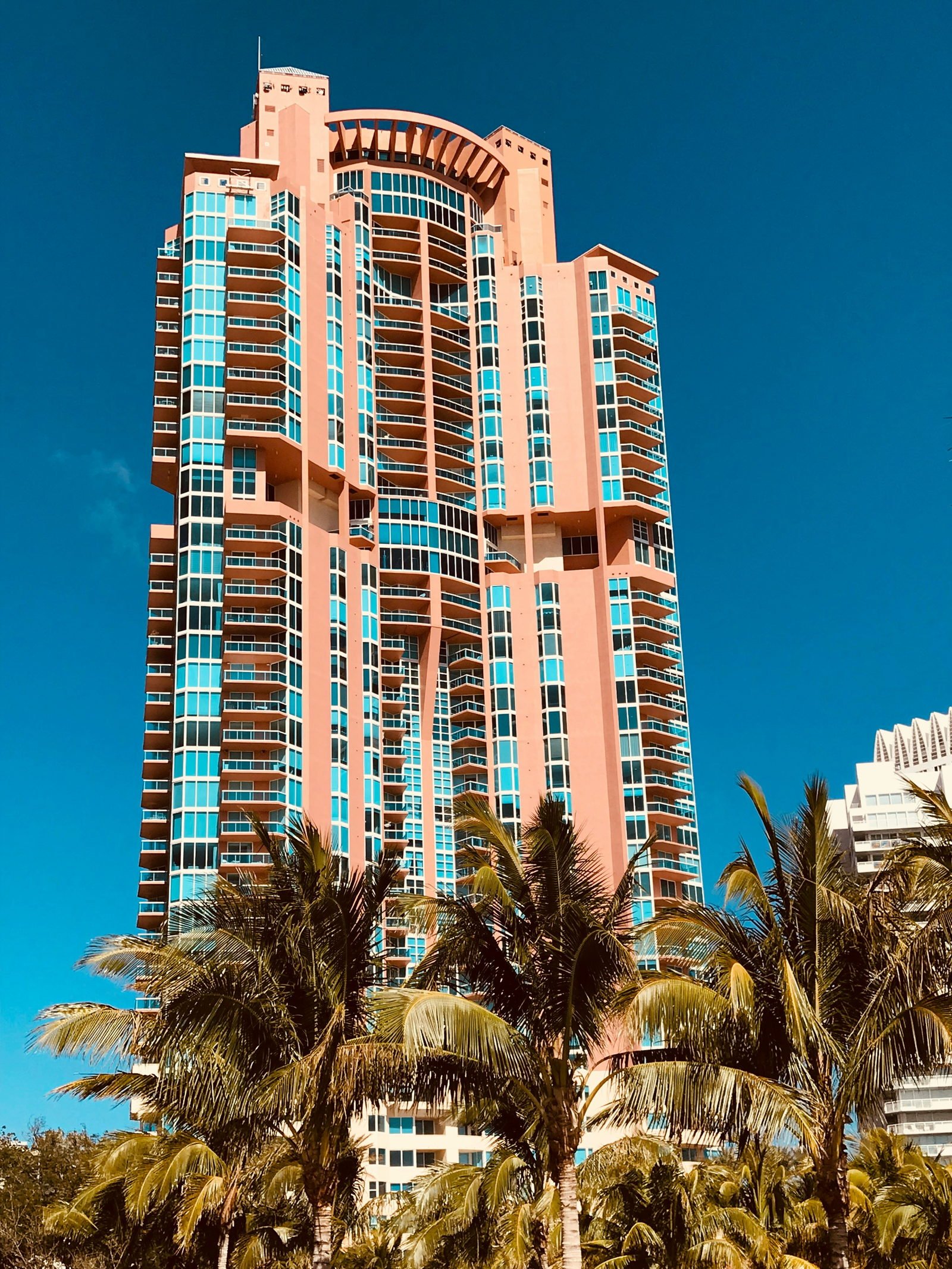 Portofino Tower seen from below through palms, South of Fifth, Miami Beach