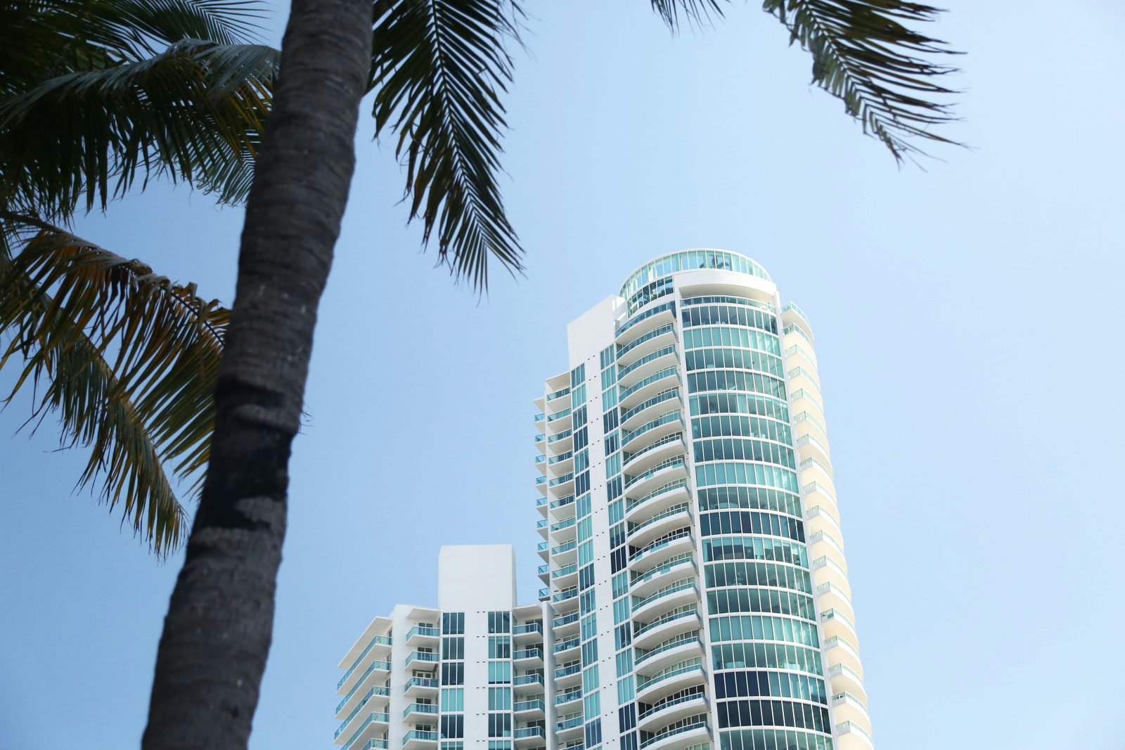 A South of Fifth condominium tower seen from below through palms, Miami Beach